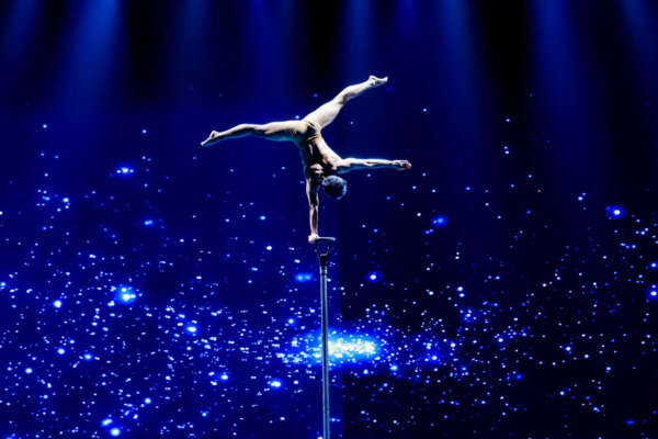 Flying Fairy Chinese Acrobatic Show